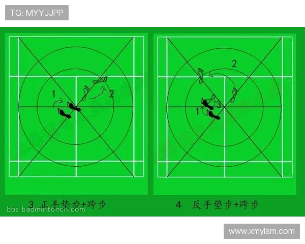 重庆羽毛球队总决赛战术分析与表现评估全面解读