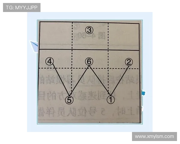 武汉排球队战术解析与对比深度剖析团队优势与不足